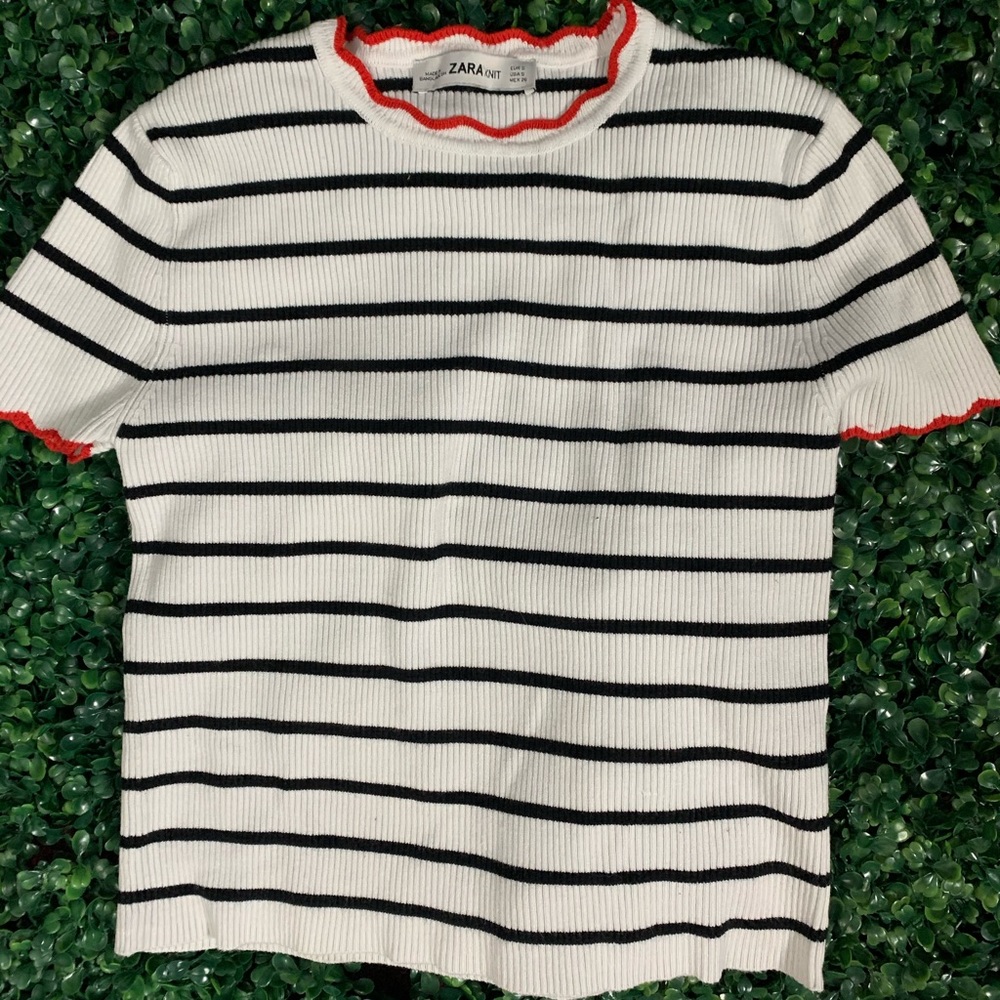 Zara Basic Crop Top